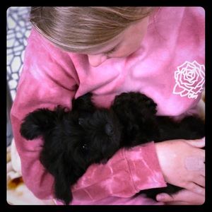 Meet your Posher, Ella